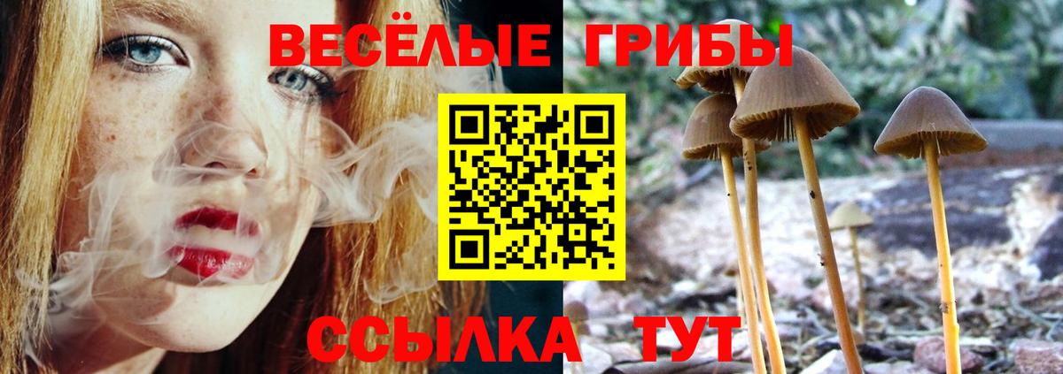 Галлюциногенные грибы GOLDEN TEACHER Звенигород